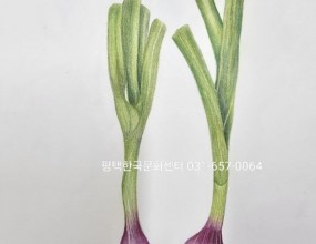 보태니컬아트 배우기식물의 꽃과 잎, 줄기 등등&nbsp;식물의 섬세한 부분들까지&nbsp;색연필로 그리는 색연필화.매주 화요일자격증반, 취미반, 연구반 으로 진행됩니다사전예약 해주세요^^