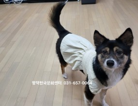 [국비훈련] 애견의류제작 및 용품제작수, 목, 금요일반려견의 다양한 옷을 체형에 맞게직접 만들어 입혀보세요즐거움과 행복이 배가 됩니다1, 2 과정 수료후 자격증취득 가능하며자격증 취득 후 강사활동/ 창업/ 취업 가능합니다.고용24 홈피에서 국민내일배움카드 발급 후온라인 수강신청 하셔야 훈련참여 가능합니다미싱교육/ 패턴제작/ 반려동물 옷만들기/ 용품만들기