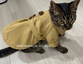 애견패션/ 애견옷만들기견종별 맞춤 패턴으로사랑스런 반려동물 옷을 직접 만들어 주세요매주 수, 목요일2급자겨증반, 1급자격증반, 취미반 등으로 진행되며국민내일배움카드 훈련은고용24에서 온라인 수강신청 해주시기 바랍니다.